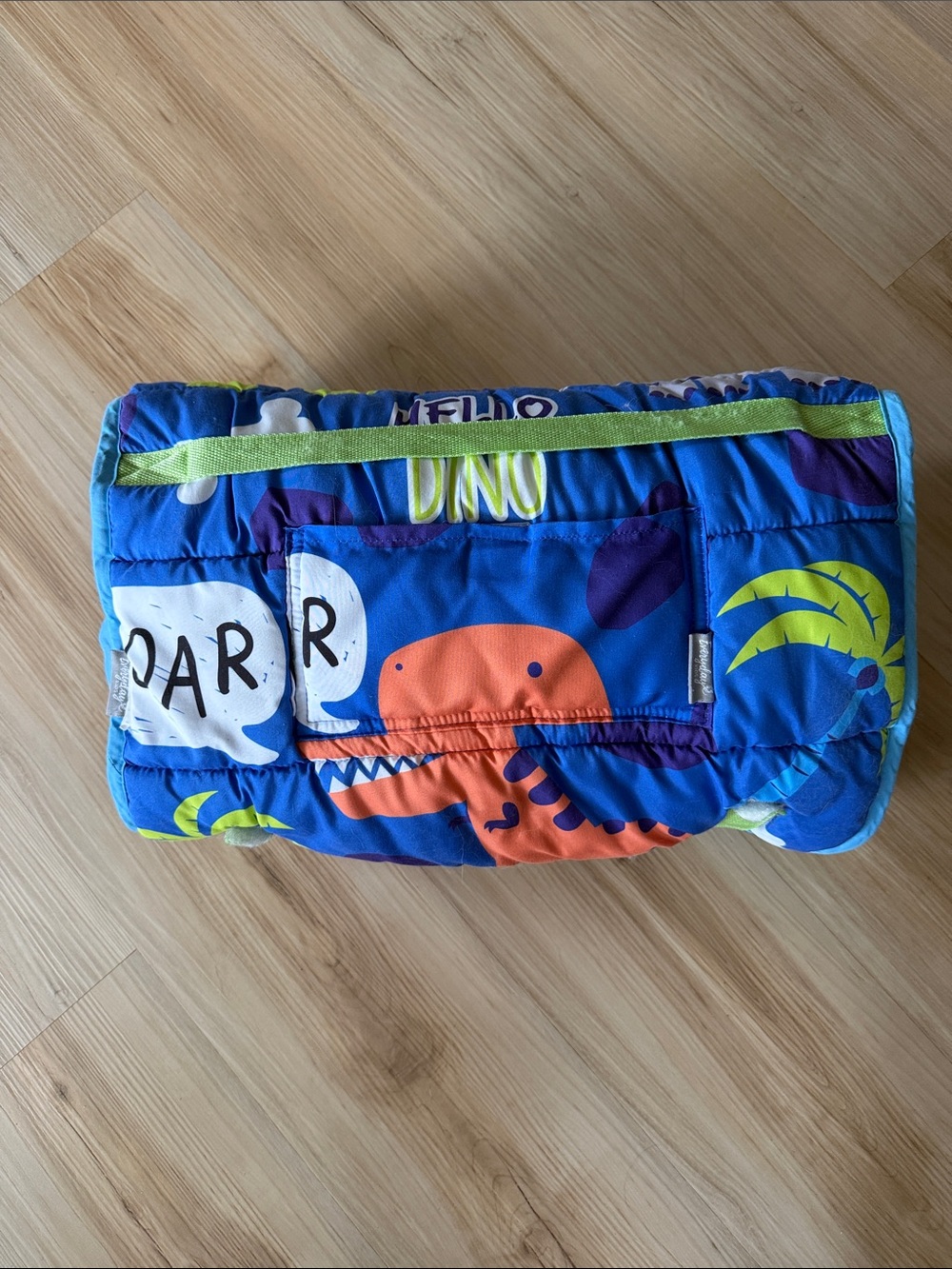 Dino nap mat